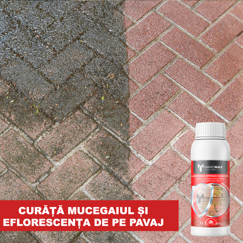 Дезинфектант за плесен по стени, плесени, зелени ефлоресценции, NanoMax, 750 мл