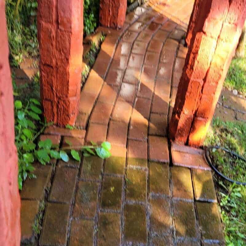 Дезинфектант за плесен по стени, плесени, зелени ефлоресценции, NanoMax, 750 мл