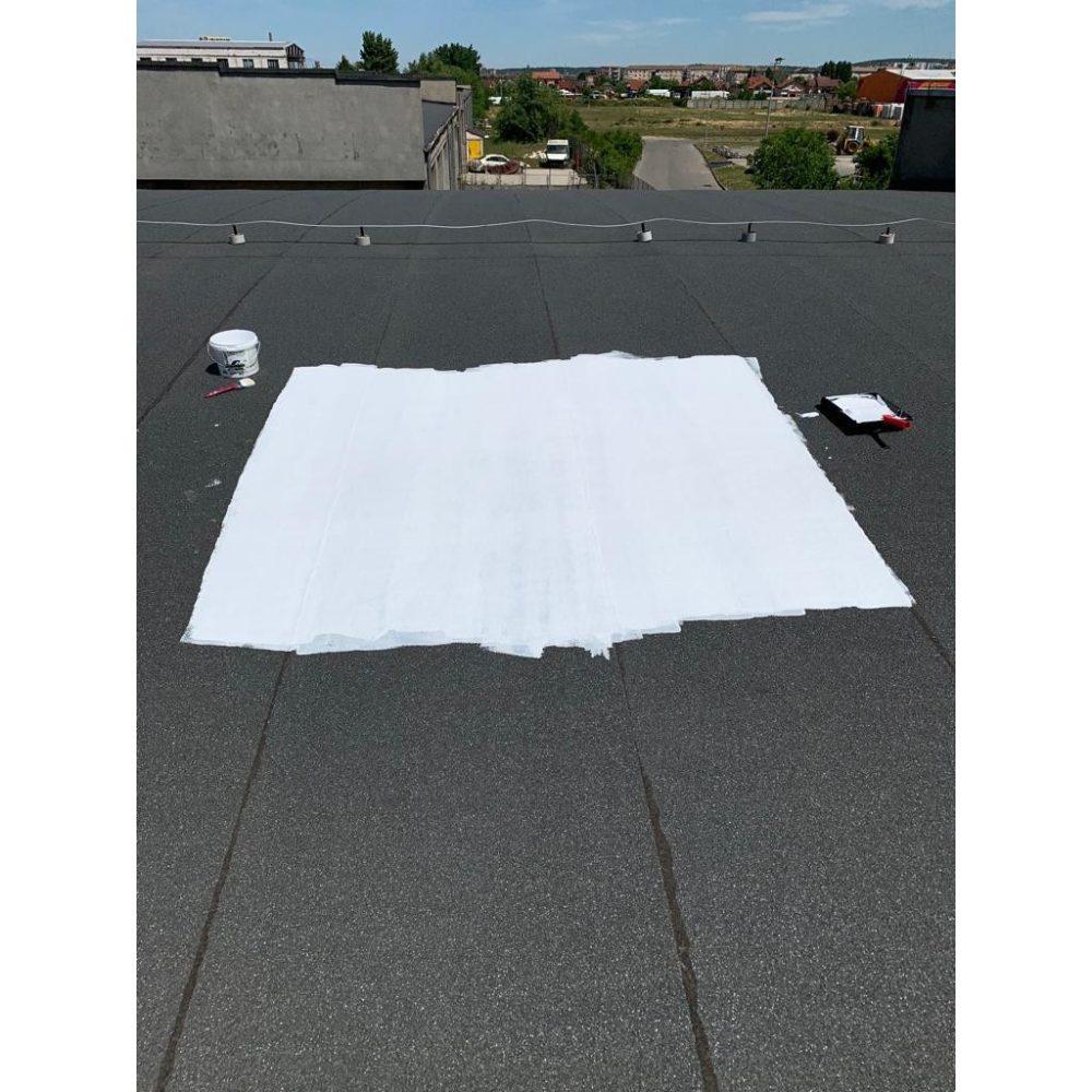 Vopsea Termoizolantă Acoperisuri, Nano SurfaPaint ThermoDry Roof